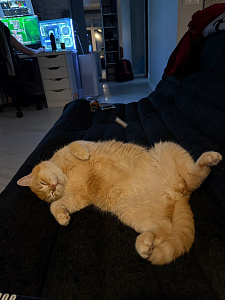 Фото покупателя, оценка 5 - 2